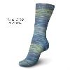 Laine Schachenmayr Regia, Strata Color, bleu-gris-vert lime