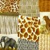 Tissu, Africa, patch, animaux sauvages