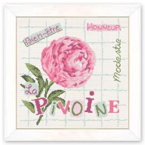 Fiche Lilipoints, La pivoine