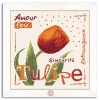 Fiche Lilipoints, La tulipe