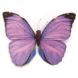 Papillon en 3D, violet