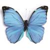 Papillon en 3D, bleu